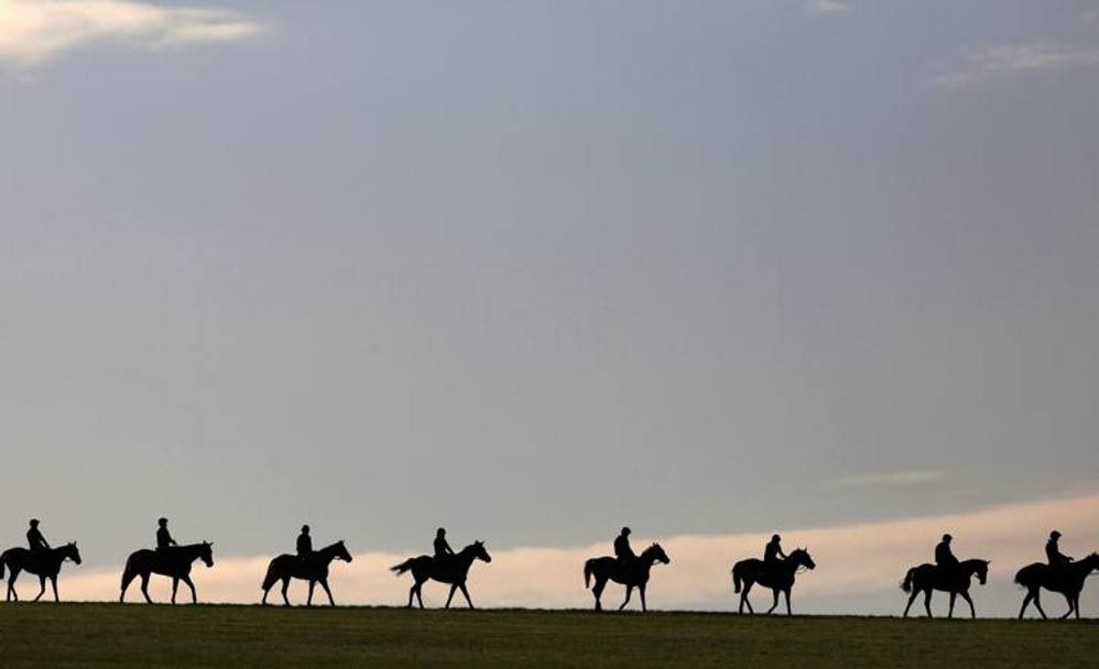 Esercizi mattutini per cavalieri e cavalli a Newmarket (Getty Images)